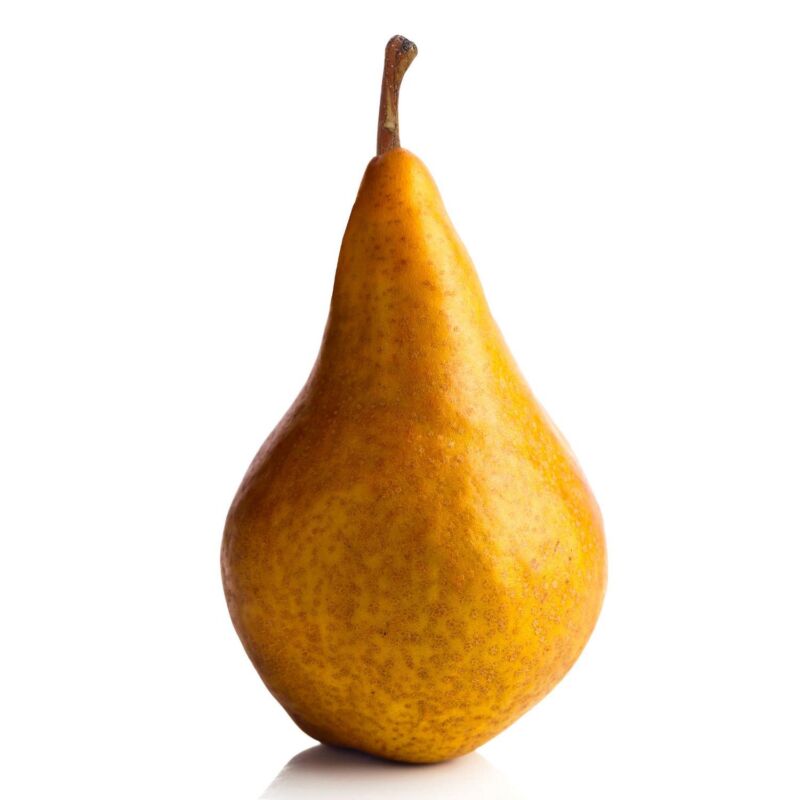 Bosc pear: an introduction to the pear variety - Plantura